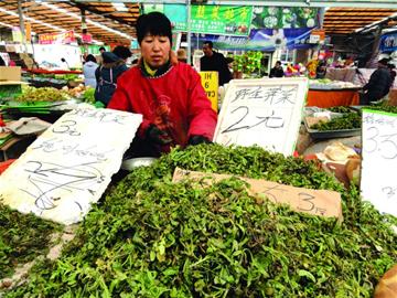 開春細(xì)數(shù)青島野菜