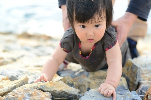 趙子琪路金波拍溫馨親子照