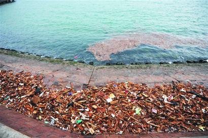 海上皇宮西側(cè)海面漂浮50米長垃圾帶