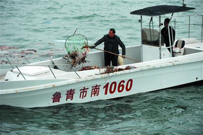 八大峽海域漂浮50米垃圾帶