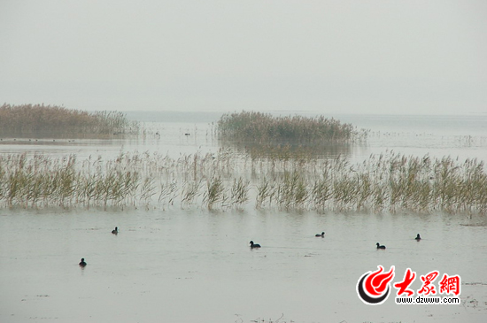 峽山湖國家濕地公園注重對(duì)自然環(huán)境的保護(hù)，公園的生物多樣性十分豐富，是我國內(nèi)陸候鳥遷徙通道上的重要驛站和棲息地