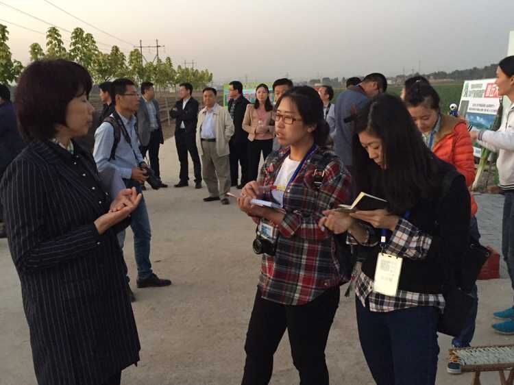 章丘大蔥走上國宴餐桌 蔥田里賺起了門票錢