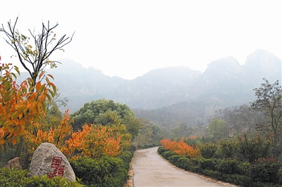 5座山頭公園將整修完 浮山十條景觀大道現(xiàn)雛形