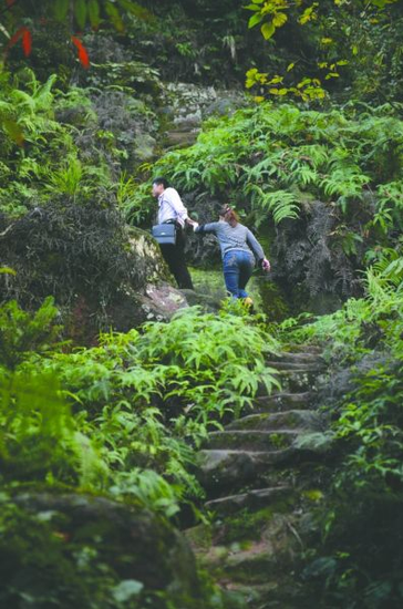 重慶擬投資26億打造“愛情天梯”風景區(qū)(圖)